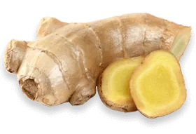 Ginger